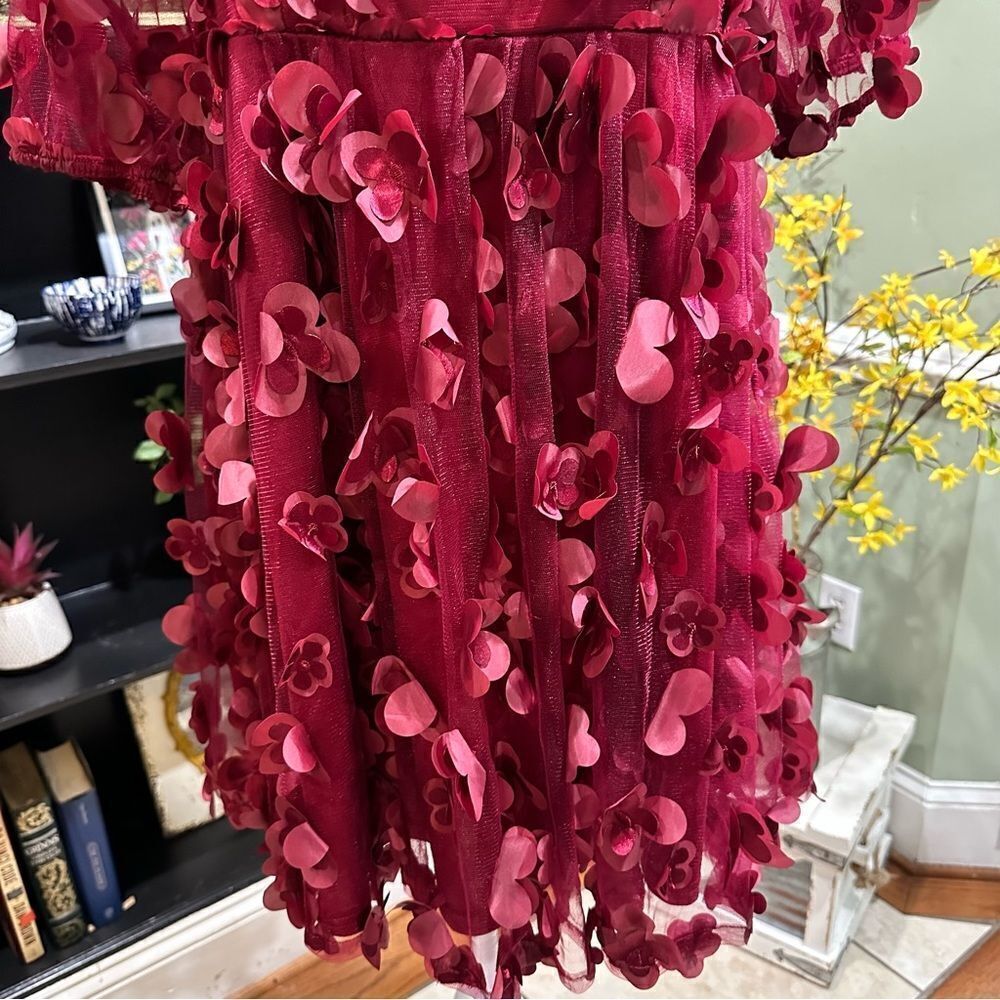 TCEC Burgundy Mini Dress with 3D Petal Appliqués - Picture 3 of 14